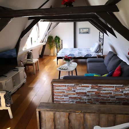 Wittezwaan Bed & Breakfast Harlingen Dış mekan fotoğraf