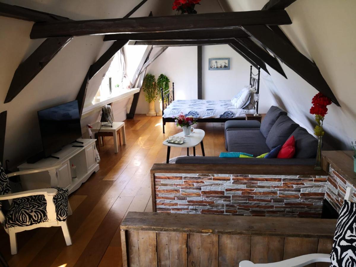 Wittezwaan Bed & Breakfast Harlingen Dış mekan fotoğraf