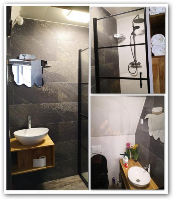 Wittezwaan Bed & Breakfast Harlingen Dış mekan fotoğraf