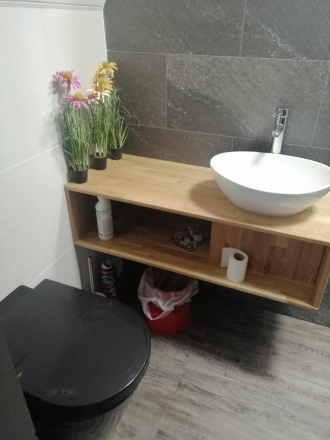 Wittezwaan Bed & Breakfast Harlingen Dış mekan fotoğraf