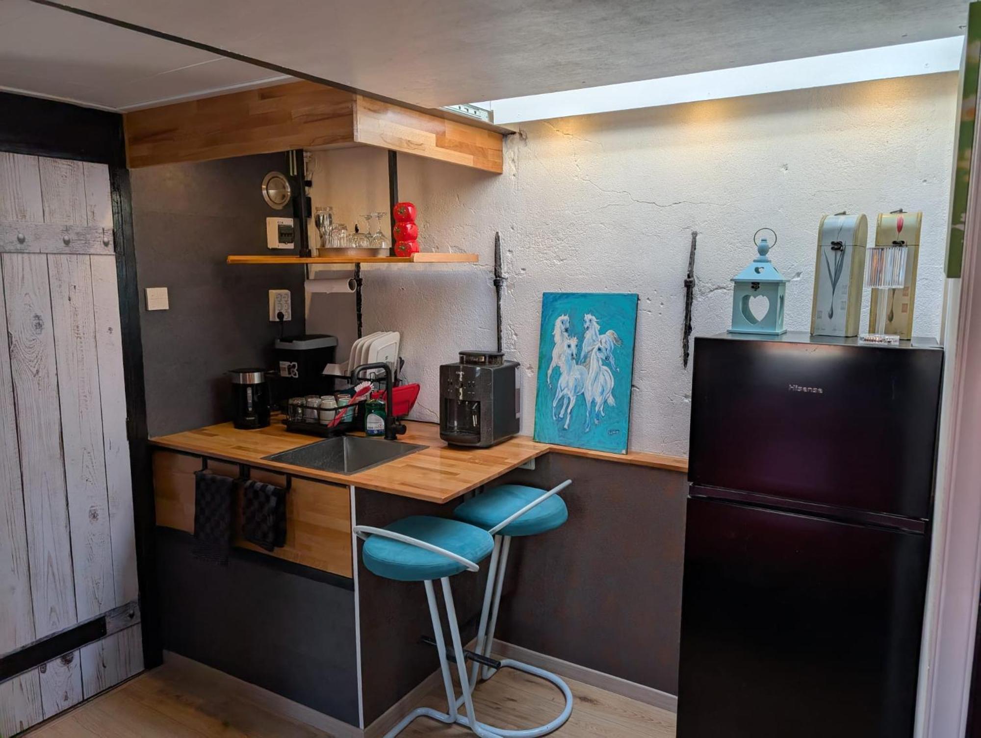 Wittezwaan Bed & Breakfast Harlingen Dış mekan fotoğraf